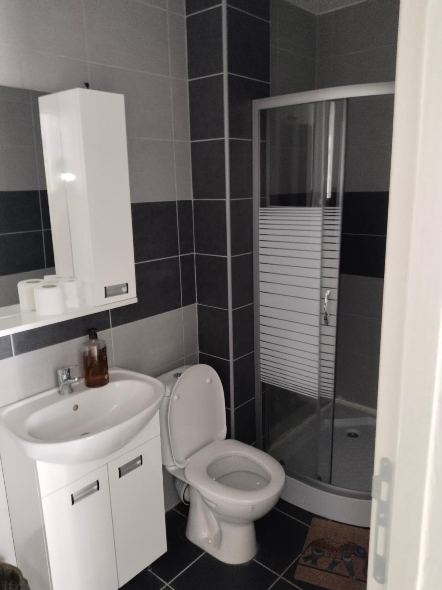 Sandra Apartmani Vrsac Kamer foto